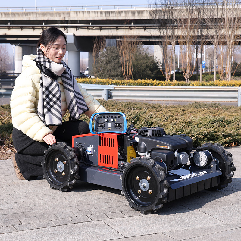 Hedge Trimmer Cordless - Customized Factory 500mm Diesel Crawler Zero